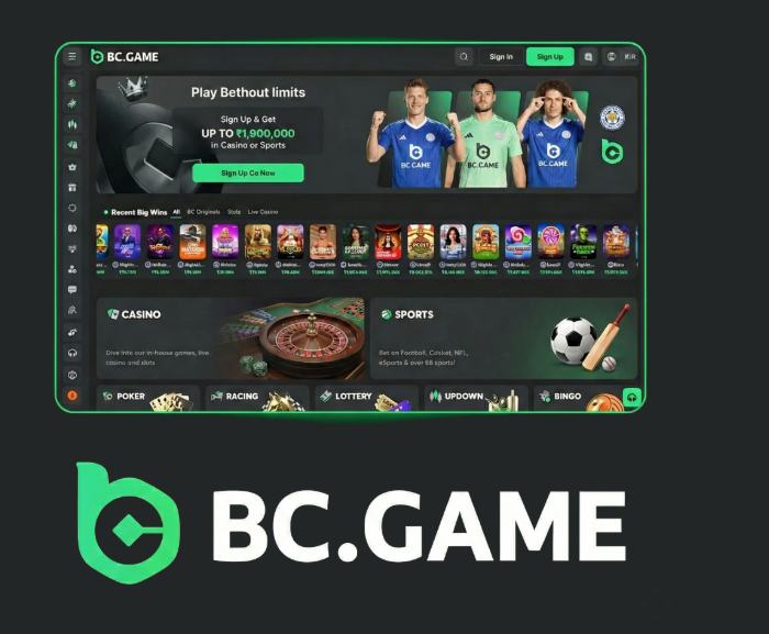 A Comprehensive Guide to BC.Game Mirror Sites