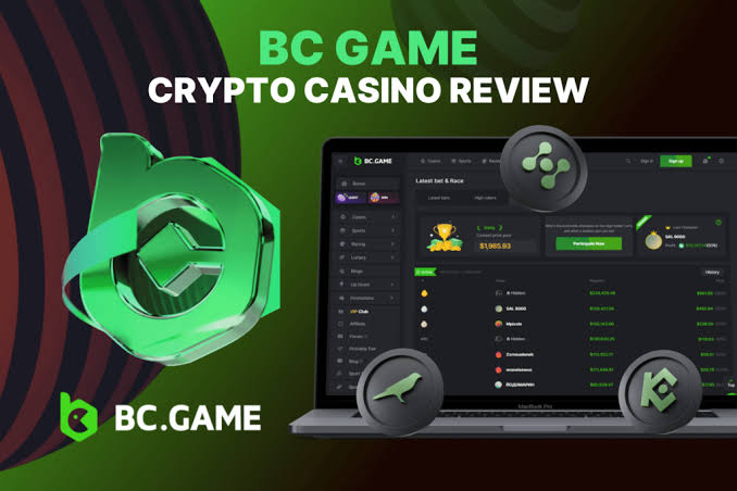 The Rise of BC.Game in Spain A Comprehensive Overview
